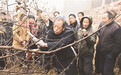 衡水:让李保国精神落地生根 开花结果