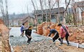 洛南小河村美丽蜕变 打工小伙返家不识自家路
