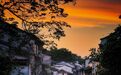 有地道年味的江南水乡 37处景区免费开放