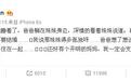 原来相比邓超,汪小菲才是宠女狂魔啊!