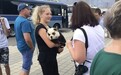 俄罗斯两只松狮被染成熊猫赚钱 网友:求松狮的心理阴影