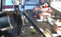 女子称被男技师摸胸 带人打砸足浴店