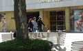 袁咏仪张智霖素颜现身机场,满脸油光网友却直夸很美很自然!