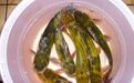 秋季钓鱼技巧:钓黄颡鱼的技巧!饵料与窝料如何选用!