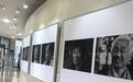知名美术摄影艺术家赴塞罕坝机械林场采风作品展举办