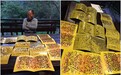 神仙谷变“苍蝇谷” 菜农鸡粪作肥民众崩溃
