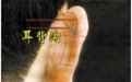 每天按摩这7个部位,远离疾病健康无忧!