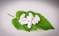 糖尿病怎么做药物降糖效果会更好?