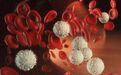 《自然》:AML白血病精准医疗新突破,科学家利用CRISPR-Cas9鉴定出全新药物靶标