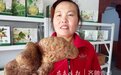 平度有种灵芝山药,产量高一斤130元堪比灵芝
