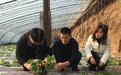 80后村官张新苗:扎根农村十年 带领村民脱贫致富