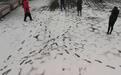 今起至8日重庆降温降雨雪持续 缙云山歌乐山有望降雪