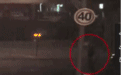 “风火轮”闯红灯撞了轿车,自身受伤还要承担责任