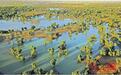 “水满河道 胡杨勃发”生态治理让塔里木河重现容光 泽被后世