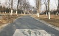 济宁绿轴打通工程启动,方便市民在绿茵中观景