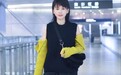 39岁的杨乐乐被拍到头顶秃了一大片,看着都心疼