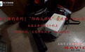 【不仅是旅游圣地,还是钓鱼天堂】阳西南山海游钓最全攻略!