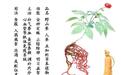 一直误解“吃人参易上火?易补大流鼻血?” 是人过?还是人参错?