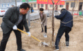 菏泽各市直单位庭院绿化工作将在4月底前完成