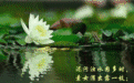 春日养生要点