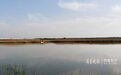 情报站|惬意!天津碱河垂钓人,尽享河边醉人景