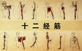 筋缩百种骨病生,从根解开靠自己!你的肌肉、韧带打结了吗?