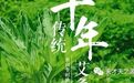 艾草知识大科普