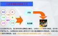 馋嘴猫小分子生物活性蛋白肽——原母体大分子蛋白质的超越者