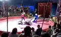 黑熊拒绝表演遭殴打 台上突然发飙撕咬驯兽员