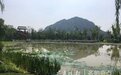 华山湿地公园园林一期完成近半,三圈环湖路已现雏形
