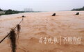黄河四年来最大洪峰过境济南,水位三天涨了2.7米
