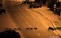香港太平山顶野猪泛滥 不怕人成群结队在道路觅食