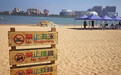 北京双胞胎溺亡海滩非正规浴场:海中有暗流,比较陡峭