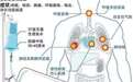 清尘之道教您如何有效选择防尘口罩