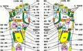 爱灸堂微课：艾灸、足浴护脚的原理在这里！