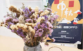OPPO开启中秋节暖心活动:与用户永远一家人