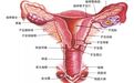 【多图】老师可爱学生皮，这节脑洞大开的示教课真精彩！