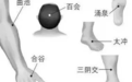 穴位就是中药,经络就是药房!