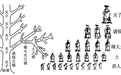所谓的独子兼祧是什么意思?在清代有什么发展?