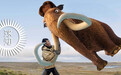 北美洲遇到第一批人类的时候,动物就开始遭殃了 | 地球知识局