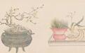 台北故宫“瓶花与盆景画特展”:体会百卉清供之美