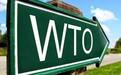 美国前商务部部长：如果有一个大国退出WTO，怎么办？