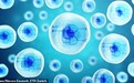 瑞士科学家首次在人体细胞中植入可编程电路 可用于治疗癌症