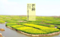 古诗词里的“芒种”知多少:其实远远不只这些