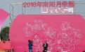 2016年南阳月季展开幕 五彩缤纷醉游人