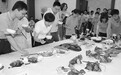 紫星村:“七星宝盒”点亮美丽乡村