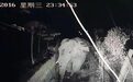 云南勐海:2头亚洲野象深夜上街夜游