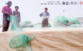 海鲜刚上岸,就被抢购一空!捕捞量少价格要变
