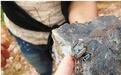 千人涌进浙江山村挖红宝石?官方:杂质多不值钱(图)