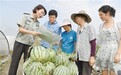 合肥:为瓜农进城“指路”